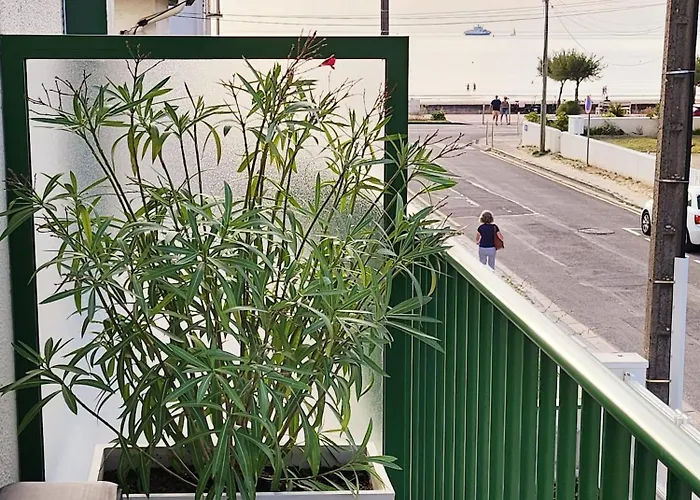 Appartement Vue Mer